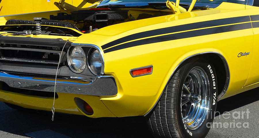 Yellow Dodge Challenger Photograph