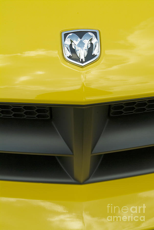 Yellow Dodge Ram Emblem Photograph by David Zanzinger