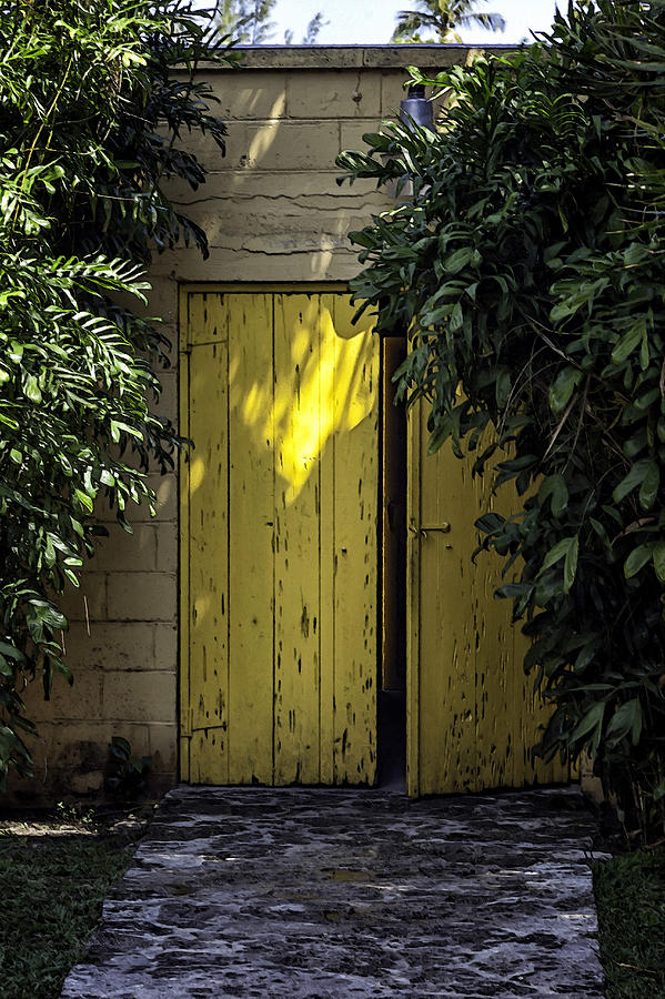 Doors Photograph - Yellow Double Doors by Lynn Palmer