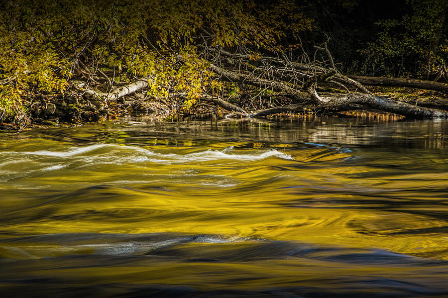 Yellow Fall Reflections on the Thornapple River Photograph by Randall Nyhof