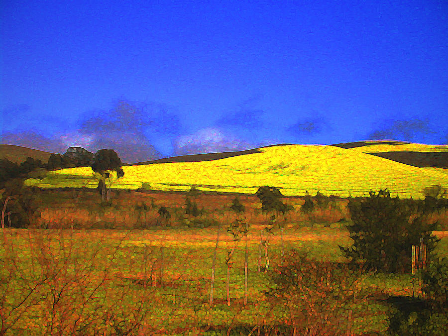 Mountain Photograph - Yellow Fields - South Africa by Lenore Senior