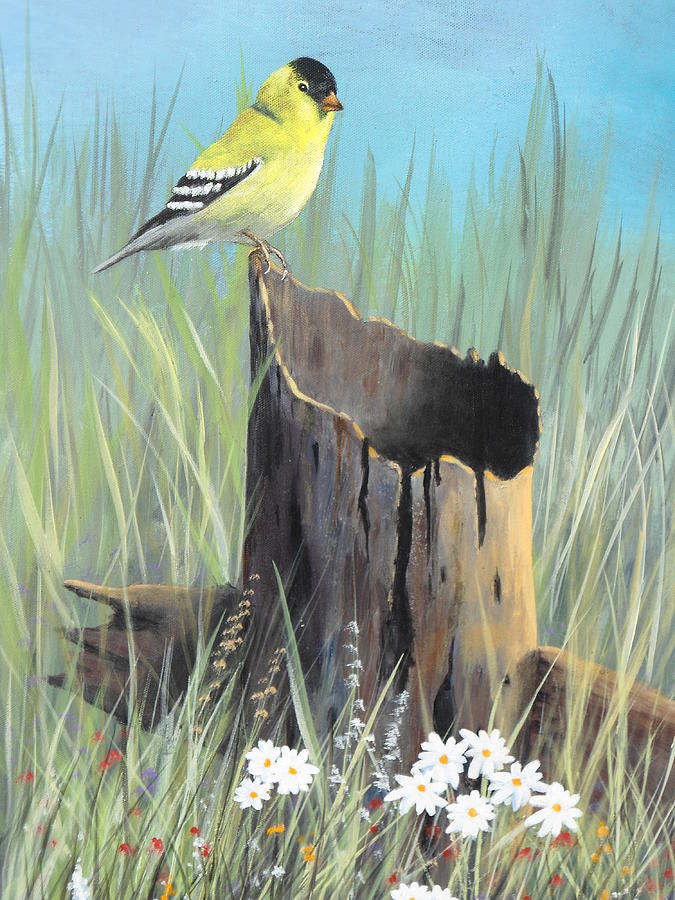 Bird Painting - Yellow Finch by Frank Cochran