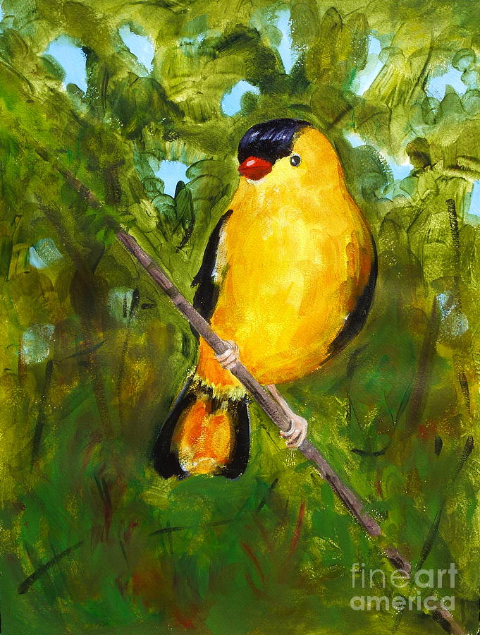 Birds Painting - Yellow Finch by Valerie Lynch Birds Painting - Yellow Finch by Valerie Lynch