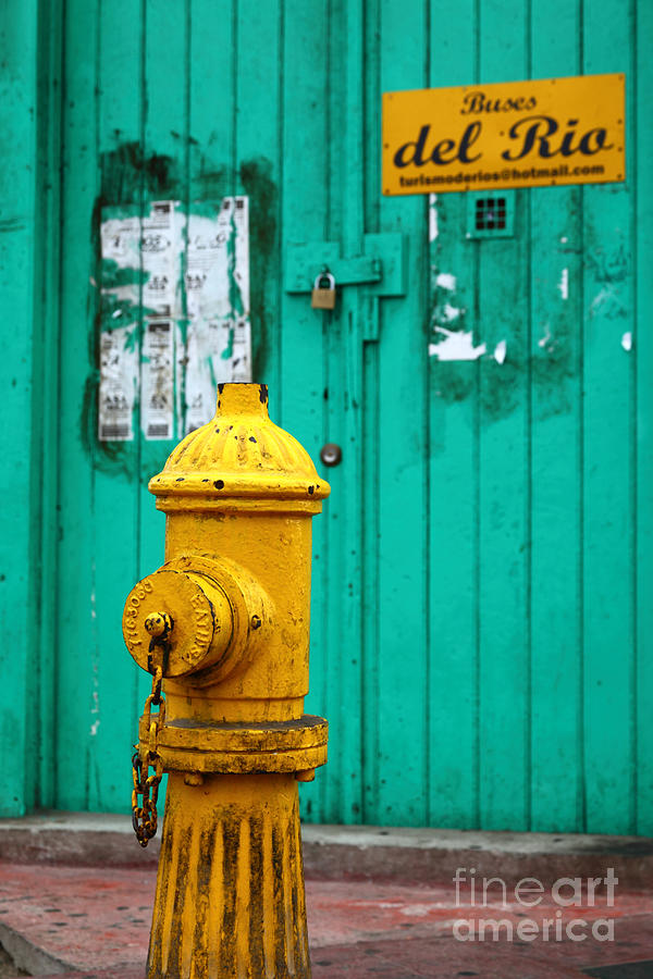 Yellow fire hydrant Photograph by James Brunker