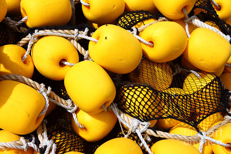 Yellow Fishing Net Floats Photograph by James Brunker - Fine Art