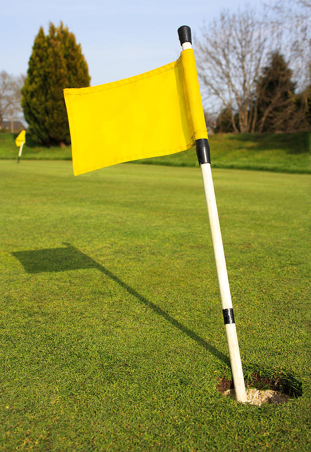 Yellow Flag on the Green Photograph by Semmick Photo
