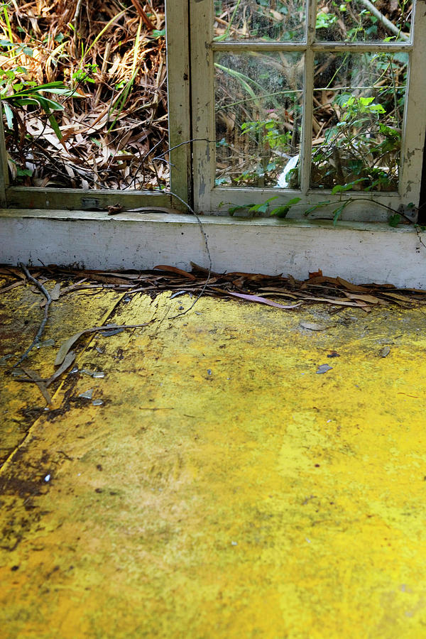 Point Reyes National Seashore Photograph - Yellow Floor In An Abandoned Building by Ron Koeberer