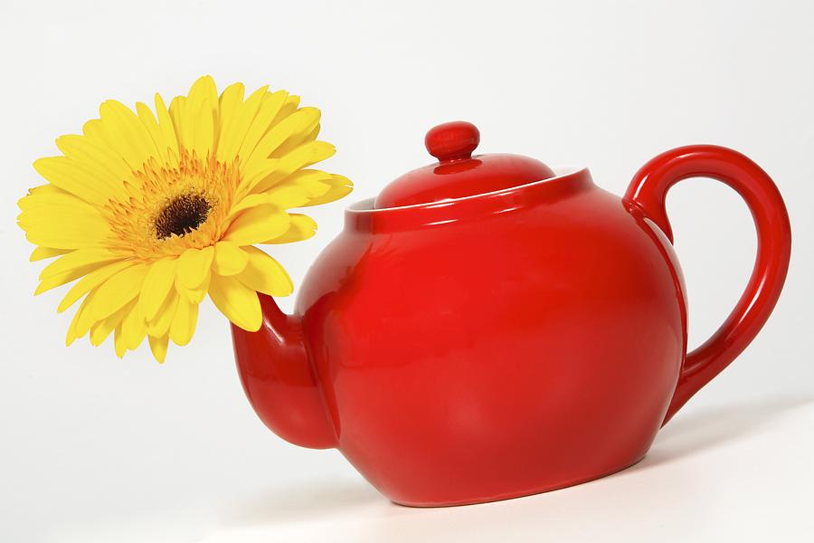 Yellow Flower In A Red Teapot Photograph by Leah Hammond
