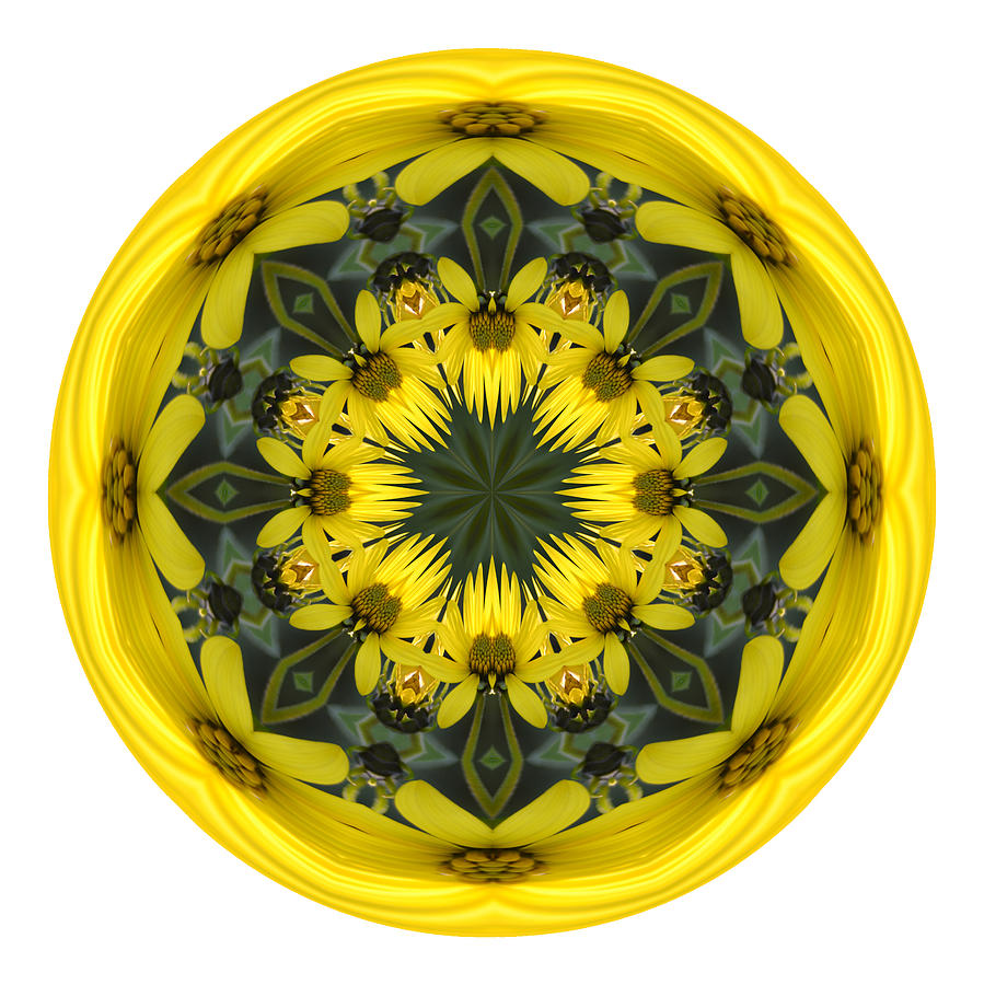 Yellow Flower Sphere Mandala Photograph by Beth Sawickie
