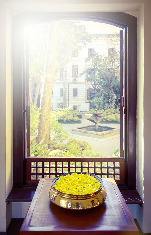 Yellow flowers and open window Photograph by Dutourdumonde Photography