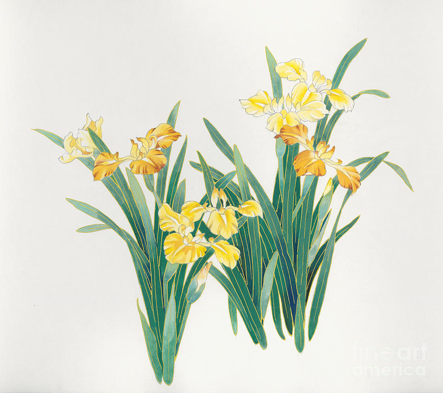 Yellow Flowers Digital Art by MGL Meiklejohn Graphics Licensing - Fine ...