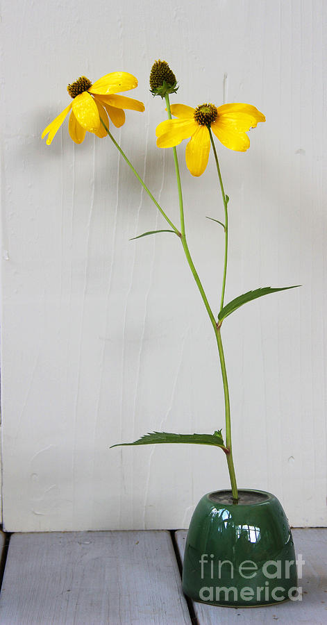 Yellow Flowers in Green Vase Photograph by Karen Adams