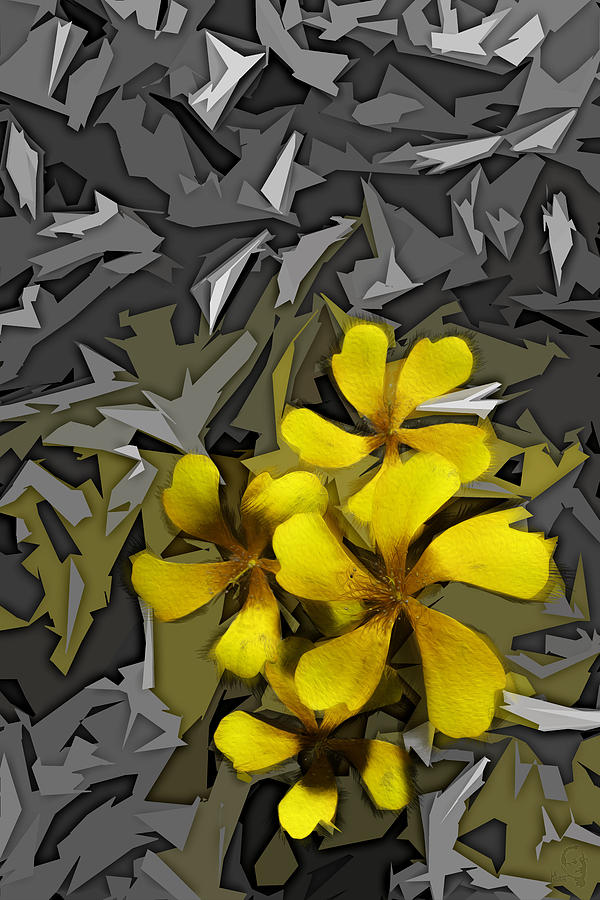 Yellow Flowers Digital Art by Matthew Lindley