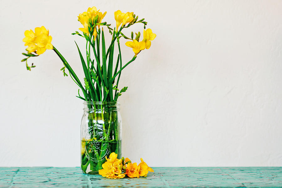 Yellow Freisa in Mason Jar Photograph by Andrea Borden - Fine Art America