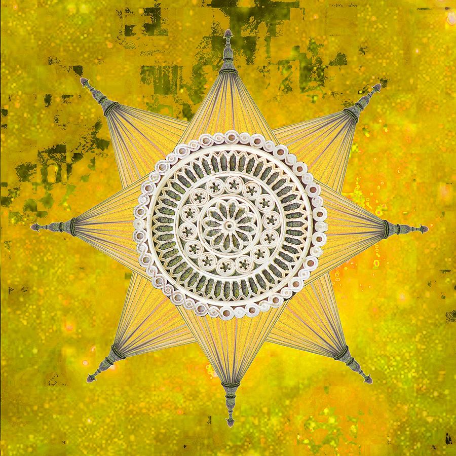 Yellow Victorian Star  Photograph by Suzanne Powers