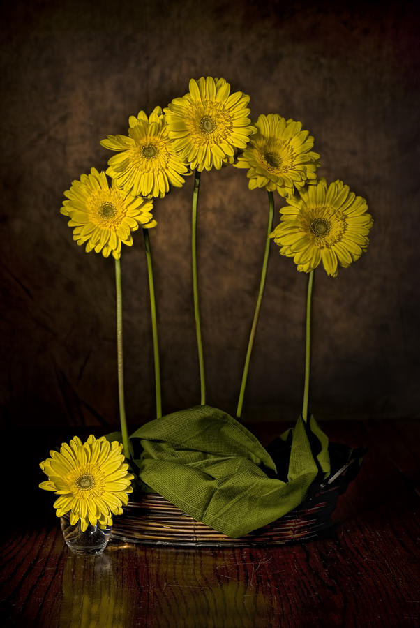 Yellow Gerbera Daisies on Brown Photograph by Leah McDaniel