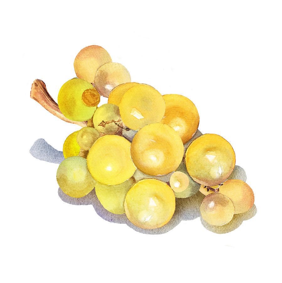 Yellow Grape Painting by Irina Sztukowski