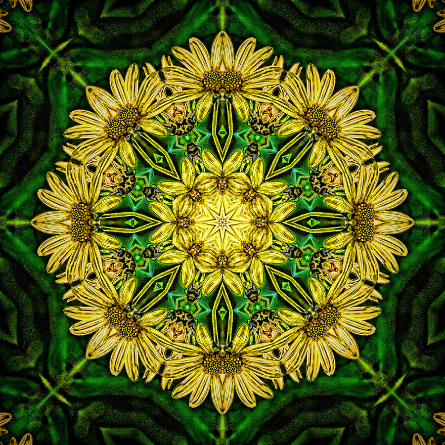 Yellow Green Flower Mandala Photograph by Beth Venner
