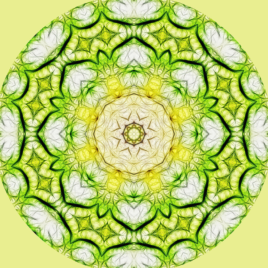 Yellow Green Mandala Digital Art by Beth Venner