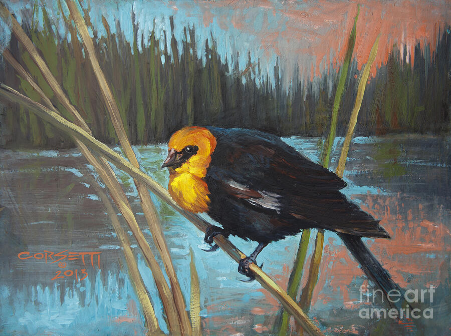Yellow Headed Black Bird Painting by Robert Corsetti