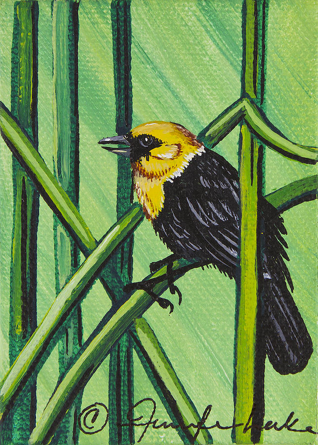 Yellow Headed Blackbird Mini Painting by Jennifer Lake