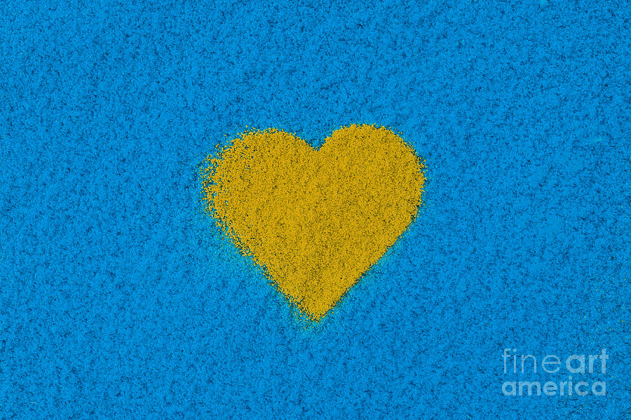 Heart Photograph - Yellow Heart by Tim Gainey