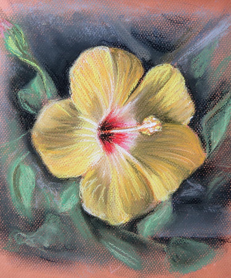 Yellow Hibiscus Pastel by Melinda Saminski