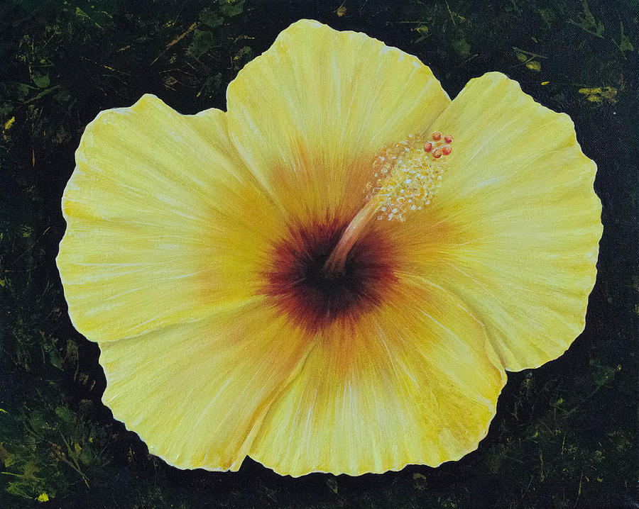 Yellow Hibiscus Painting by Nancy Lauby