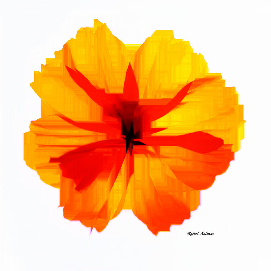 Yellow Hibiscus Digital Art by Rafael Salazar