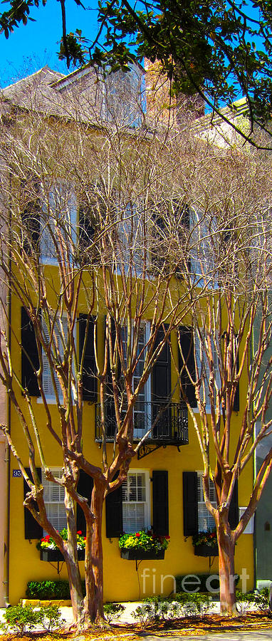 Yellow House Photograph by Alan Metzger