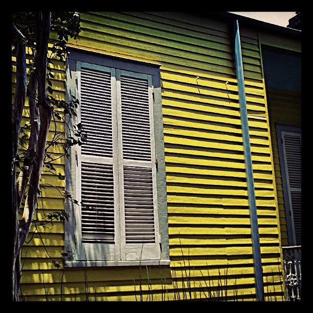 New Orleans Photograph - Yellow House New Orleans by Glen Abbott