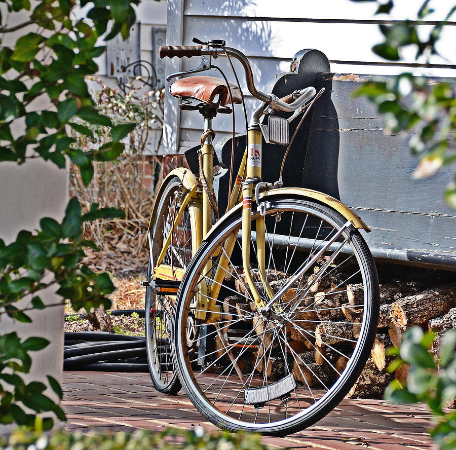 Yellow Huffy Photograph by Linda Brown