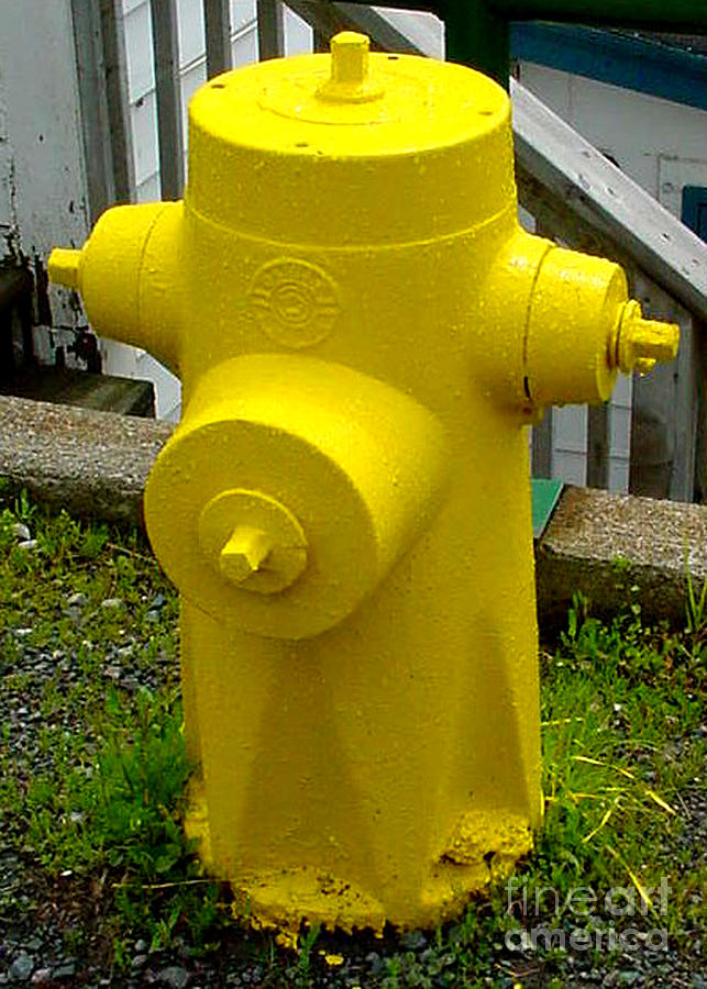 Yellow Hydrant Mixed Media by Art MacKay