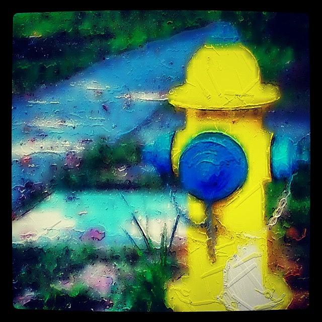 Yellow Hydrant Photograph by Kim Cafri