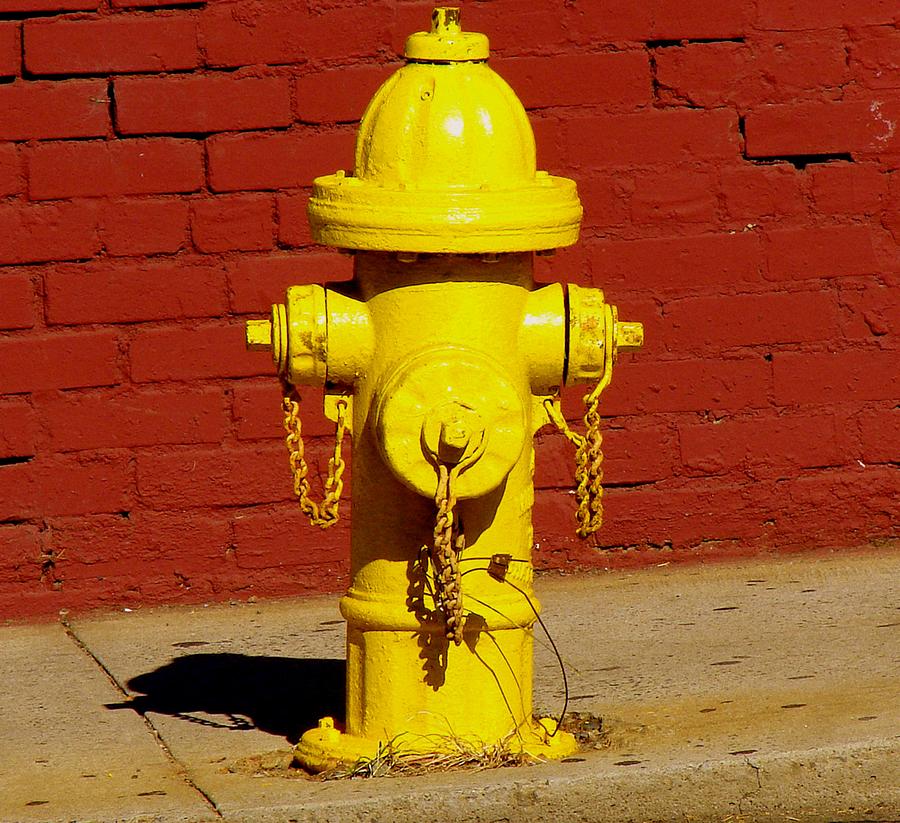 Yellow Hydrant Photograph by Rodney Lee Williams