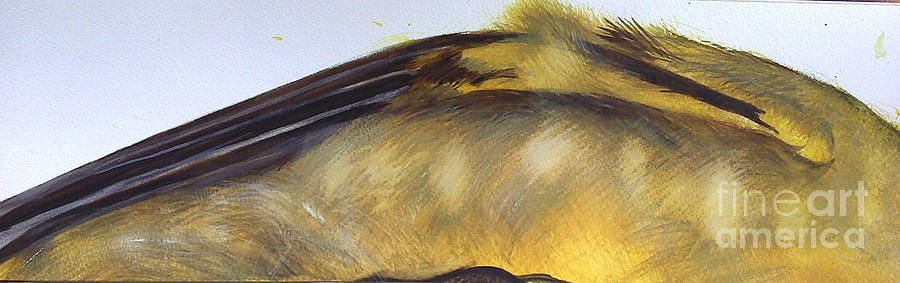 Bird Painting - Yellow III by Amy Pike