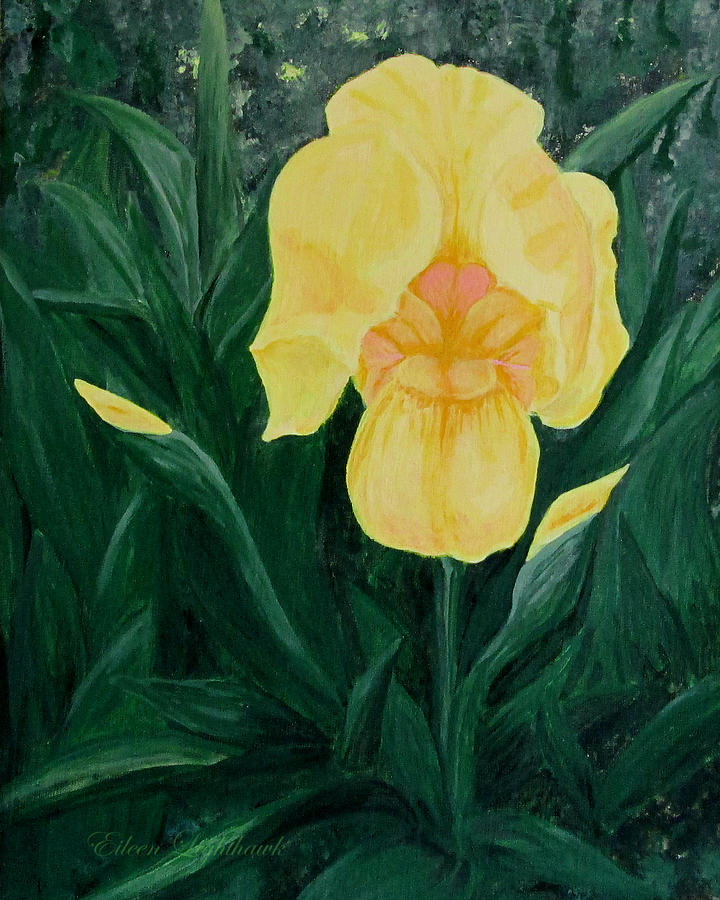 Yellow Iris Painting by Eileen Lighthawk