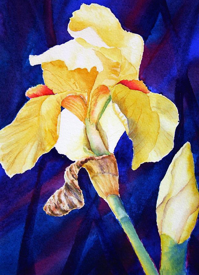 Yellow Iris III Painting by Eva Nichols - Fine Art America