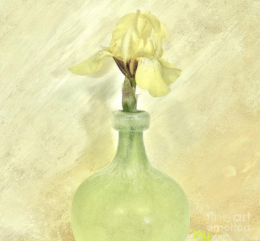 Yellow Iris in Lime Vase Photograph by Marsha Heiken