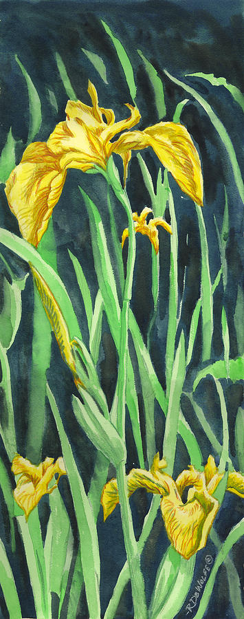 Yellow Iris Painting by Richard De Wolfe