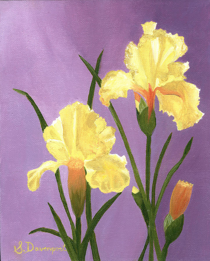 Iris Painting - Yellow Iris by Sara Davenport