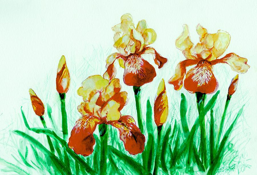 Yellow Irises Painting by Mary Armstrong