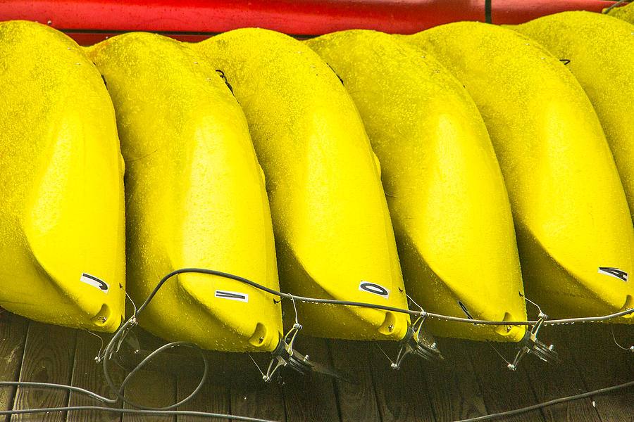Yellow Kayaks Photograph by Steven Bateson