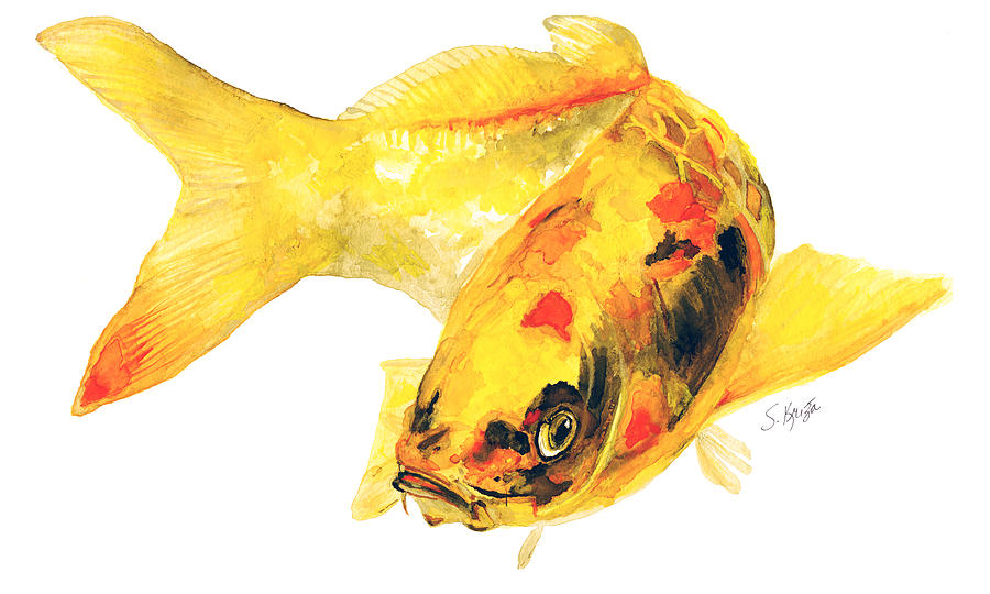 Wildlife Painting - Yellow Koi Fish by Stephanie  Kriza