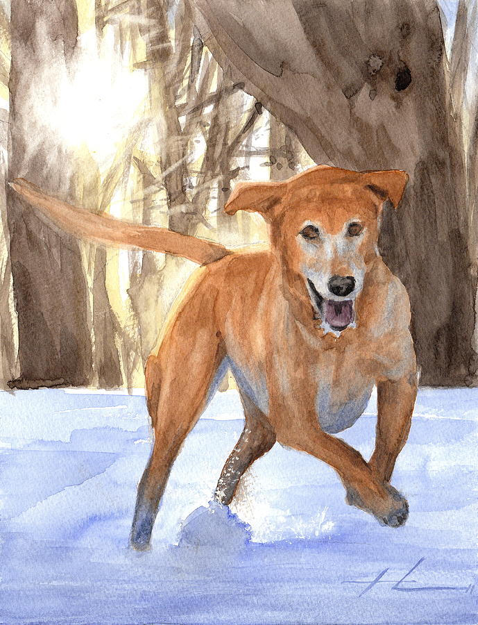 Yellow Lab Dog In Snow Watercolor Portrait Drawing by Mike Theuer Yellow Lab Dog In Snow Watercolor Portrait Drawing by Mike Theuer