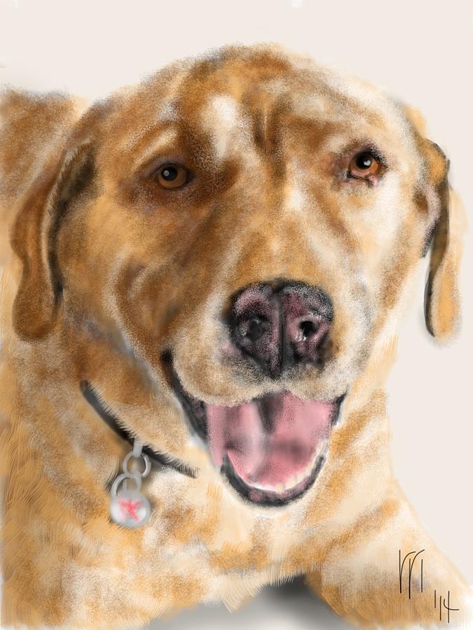 Yellow Lab Painting by Lois Ivancin Tavaf