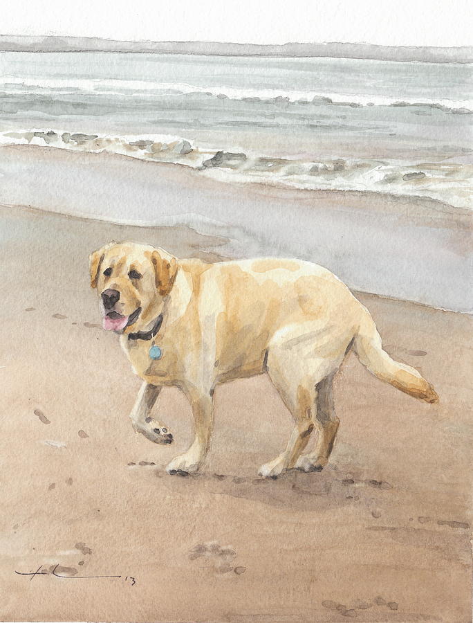 Yellow Lab On Beach Watercolor Portrait Drawing by Mike Theuer