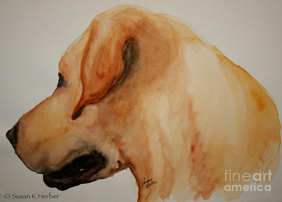 Yellow Lab Painting by Susan Herber