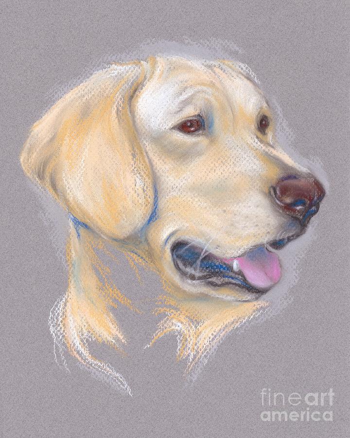 Yellow Labrador Retriever Portrait Pastel by MM Anderson