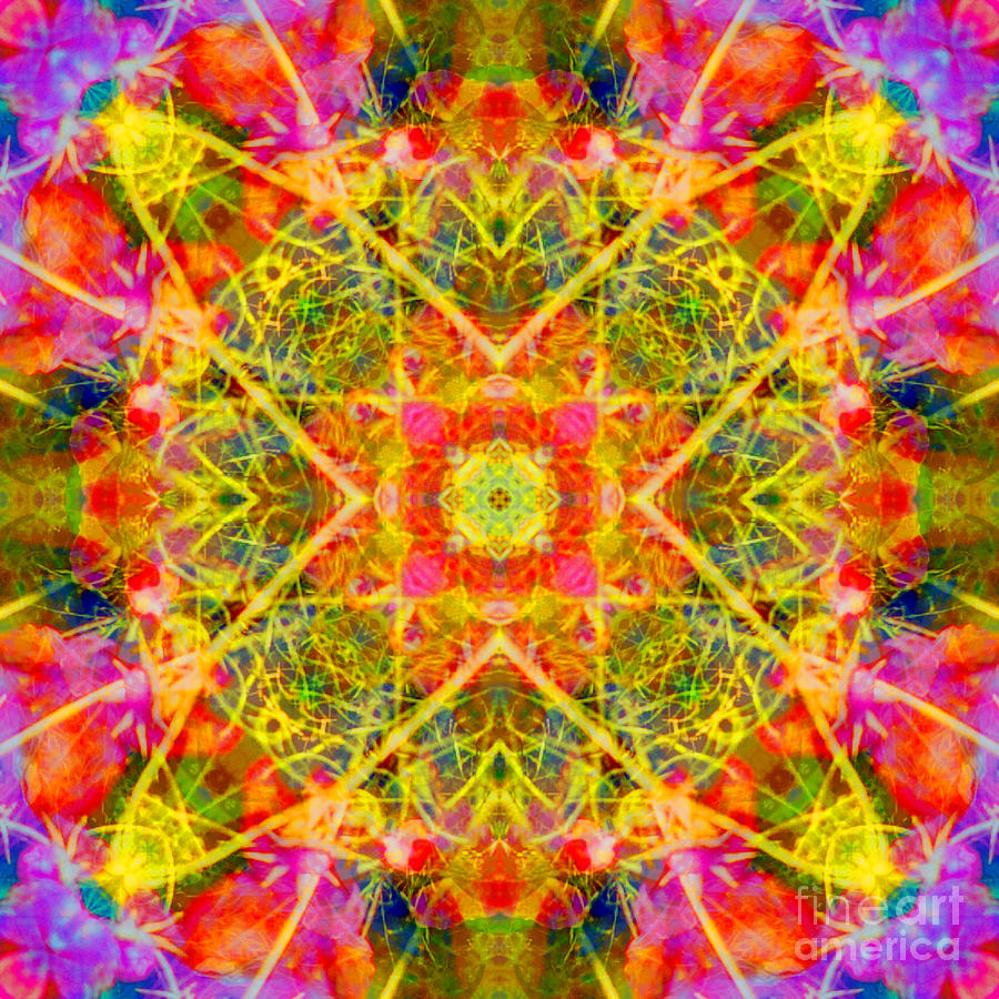 Yellow Lacy Mandala Digital Art by Susan Bloom - Pixels